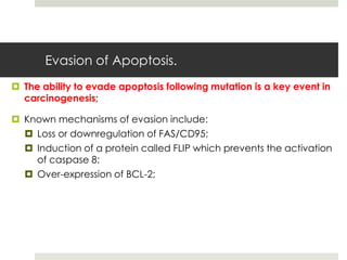Evasion of Apoptosis.
 The ability to evade apoptosis following mutation is a key event in
  carcinogenesis;

 Known mechanisms of evasion include:
   Loss or downregulation of FAS/CD95;
   Induction of a protein called FLIP which prevents the activation
    of caspase 8;
   Over-expression of BCL-2;
 