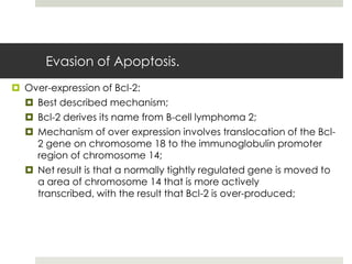 Evasion of Apoptosis.
 Over-expression of Bcl-2:
   Best described mechanism;
   Bcl-2 derives its name from B-cell lymphoma 2;
   Mechanism of over expression involves translocation of the Bcl-
    2 gene on chromosome 18 to the immunoglobulin promoter
    region of chromosome 14;
   Net result is that a normally tightly regulated gene is moved to
    a area of chromosome 14 that is more actively
    transcribed, with the result that Bcl-2 is over-produced;
 