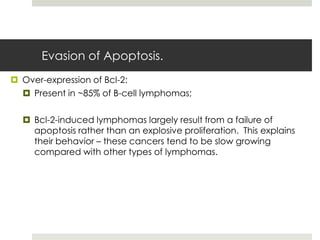 Evasion of Apoptosis.
 Over-expression of Bcl-2:
   Present in ~85% of B-cell lymphomas;

   Bcl-2-induced lymphomas largely result from a failure of
    apoptosis rather than an explosive proliferation. This explains
    their behavior – these cancers tend to be slow growing
    compared with other types of lymphomas.
 