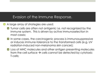 Evasion of the Immune Response.
 A large array of strategies are used:
   Tumor cells are often not antigenic i.e. not recognized by the
     immune system. This is driven by active immunoselection in
     most cases;
   In some cases, the carcinogenic process is immunosuppressive
     or induces immune-tolerance to the transformed cells (e.g. UV
     radiation-induced non-melanoma skin cancer);
   Loss of MHC molecules and other antigen presenting molecules
     from the cell surface  cells cannot be detected by cytotoxic
     T-cells;
 