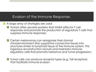 Evasion of the Immune Response.
 A large array of strategies are used:
   Tumors often secrete proteins that inhibit effector T cell
     responses and promote the production of regulatory T cells that
     suppress immune responses;

   Certain melanomas can reorganize their stromal
    microenvironment (the supportive connective tissue) into
    structures similar to lymphoid tissue of the immune system. This
    ingenious reconstruction recruits and maintains immune
    regulatory cells that promote tolerance and tumor progression;

   Tumor cells can produce receptor types (e.g. Toll receptors)
    that facilitate immune evasion.
 