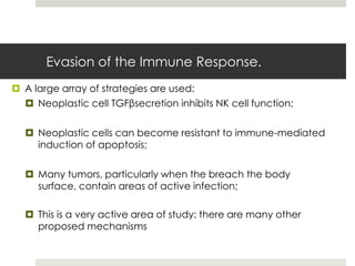 Evasion of the Immune Response.
 A large array of strategies are used:
   Neoplastic cell TGFβsecretion inhibits NK cell function;

   Neoplastic cells can become resistant to immune-mediated
    induction of apoptosis;

   Many tumors, particularly when the breach the body
    surface, contain areas of active infection;

   This is a very active area of study: there are many other
    proposed mechanisms
 