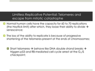 Limitless Replicative Potential: Telomeres and
       escape from mitotic catastrophe
 Normal human cells have the capacity for 60 to 70 replications
  (the Hayflick limit) after which, they loose their ability to divide 
  senescence;

 The loss of the ability to replicate is because of progressive
  shortening of the telomeres present at the ends of chromosomes;


    Short telomeres  behave like DNA double strand breaks 
     triggers p53 and RB-mediated cell cycle arrest at the G1/S
     checkpoint;
 