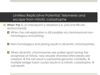 Limitless Replicative Potential: Telomeres and
       escape from mitotic catastrophe
 When the G1/S checkpoint is disabled (i.e. p53 and RB are
  dysfunctional):
   When the cell replication is still possible via chromosomal non-
    homologous end joining;

   Non-homologous end joining results in dicentric chromosomes;

   When dicentric chromosomes are pulled apart during the
    anaphase of mitosis, new double stranded DNA breaks are
    created  the net result is substantial genomic instability 
    multiple bridge-fusion cycles results in a mitotic catastrophe 
    cell death
 
