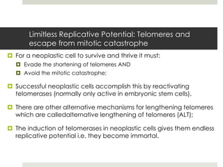 Limitless Replicative Potential: Telomeres and
       escape from mitotic catastrophe
 For a neoplastic cell to survive and thrive it must:
    Evade the shortening of telomeres AND
    Avoid the mitotic catastrophe;

 Successful neoplastic cells accomplish this by reactivating
  telomerases (normally only active in embryonic stem cells).

 There are other alternative mechanisms for lengthening telomeres
  which are calledalternative lengthening of telomeres (ALT);

 The induction of telomerases in neoplastic cells gives them endless
  replicative potential i.e. they become immortal.
 