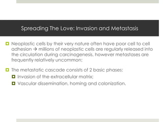 Spreading The Love: Invasion and Metastasis

 Neoplastic cells by their very nature often have poor cell to cell
  adhesion  millions of neoplastic cells are regularly released into
  the circulation during carcinogenesis, however metastases are
  frequently relatively uncommon;

 The metastatic cascade consists of 2 basic phases:
   Invasion of the extracellular matrix;
   Vascular dissemination, homing and colonization.
 