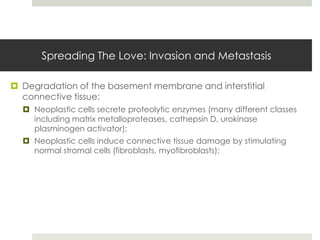 Spreading The Love: Invasion and Metastasis

 Degradation of the basement membrane and interstitial
  connective tissue:
   Neoplastic cells secrete proteolytic enzymes (many different classes
    including matrix metalloproteases, cathepsin D, urokinase
    plasminogen activator);
   Neoplastic cells induce connective tissue damage by stimulating
    normal stromal cells (fibroblasts, myofibroblasts);
 