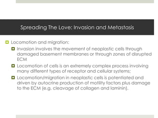 Spreading The Love: Invasion and Metastasis

 Locomotion and migration:
   Invasion involves the movement of neoplastic cells through
    damaged basement membranes or through zones of disrupted
    ECM
   Locomotion of cells is an extremely complex process involving
    many different types of receptor and cellular systems;
   Locomotion/migration in neoplastic cells is potentiated and
    driven by autocrine production of motility factors plus damage
    to the ECM (e.g. cleavage of collagen and laminin).
 