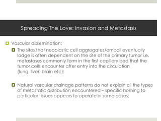 Spreading The Love: Invasion and Metastasis

 Vascular dissemination:
   The sites that neoplastic cell aggregates/emboli eventually
    lodge is often dependent on the site of the primary tumor i.e.
    metastases commonly form in the first capillary bed that the
    tumor cells encounter after entry into the circulation
    (lung, liver, brain etc);

   Natural vascular drainage patterns do not explain all the types
    of metastatic distribution encountered – specific homing to
    particular tissues appears to operate in some cases;
 