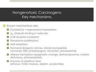 Nongenotoxic Carcinogens:
           Key mechanisms.

 Known mechanisms are:
   Cytotoxicity + regenerative hyperplasia;
   α2u-Globulin binding in male rats;
   CAR receptor mediated;
   Peroxisome proliferation;
   AhR mediated
   Hormonal (biogenic amines, steroid and peptide
    hormones, DES, phytoesrogens, tomoxifen, pheobarbital)
   Altered methylation (epigenetic change; diethanoloamine, choline
    deficiency, phenobarbital);
   Inducers of oxidative stress
    (ethanol, TCDD, lindane, dieldrin, acrylonitrile).
 