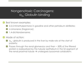 Nongenotoxic Carcinogens:
           α2u Globulin binding

 Best known examples:
   2,2,5-trimethylpentane in gasoline and other petroleum distillates;
   D-Limonene (fragrance);
   1,4-dichlorobenzene;

 Mode of action:
   α2u- globulin is produced in the liver by male rats at the start of
    puberty;
   Passes through the renal glomerulus and then ~ 50% of the filtered
    protein is reabsorbed by the tubular epithelium in the S2 segment of
    the renal proximal tubule  undergoes lysosomal catabolism;
 