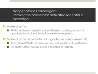 Nongenotoxic Carcinogens:
       Peroxisome proliferator activated receptor α
       mediated

 Mode of action
   PPARα activation results in cell proliferation and suppression of
    apoptosis: both of which are favorable to neoplasia;

 Mode of action is currently not regarded as human-relevant;
   Activation of PPARα in primates does not result in cell proliferation;
   Level of PPARαin human liver is < 10 X that of rodents;
 