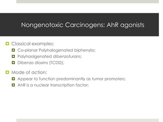 Nongenotoxic Carcinogens: AhR agonists

 Classical examples:
   Co-planar Polyhalogenated biphenylss;
   Polyhaolgenated dibenzofurans;
   Dibenzo dioxins (TCDD);

 Mode of action;
   Appear to function predominantly as tumor promoters;
   AhR is a nuclear transcription factor;
 
