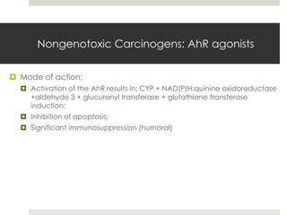 Nongenotoxic Carcinogens: AhR agonists

 Mode of action;
   Activation of the AhR results in: CYP + NAD(P)H:quinine oxidoreductase
    +aldehyde 3 + glucuronyl transferase + glutathione transferase
    induction;
   Inhibition of apoptosis;
   Significant immunosuppression (humoral)
 