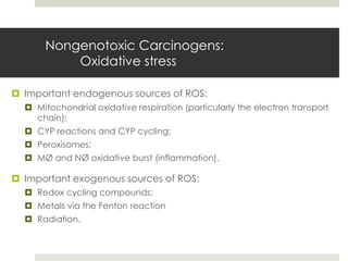 Nongenotoxic Carcinogens:
           Oxidative stress

 Important endogenous sources of ROS:
   Mitochondrial oxidative respiration (particularly the electron transport
    chain);
   CYP reactions and CYP cycling;
   Peroxisomes;
   MØ and NØ oxidative burst (inflammation).

 Important exogenous sources of ROS:
   Redox cycling compounds;
   Metals via the Fenton reaction
   Radiation.
 