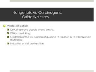 Nongenotoxic Carcinogens:
           Oxidative stress

 Modes of action
   DNA single and double strand breaks;
   DNA cross-linking;
   Oxidation of the C8 position of guanine  results in G  T transversion
    mutations;
   Induction of cell proliferation
 