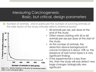 Measuring Carcinogenesis:
            Basic, but critical, design parameters
 Number of animals, and in particular the number of surviving animals at
  the take down of the study critically affects statistical power:
                                     • 50 animals per sex, per dose at the
                                        end of the study;
                                     • Often means starting with 55 or 60
                                        animals per sex per dose at the start of
                                        the study;
                                     • At this number of animals, the
                                        detection above background of
                                        cancer incidence is about 10% i.e. the
                                        presence of rare tumor types is a very
                                        significant finding;
                                     • If the experimental n is less than
                                        this, then the study will only detect very
                                        large changes: biologically very
                                        significant
 