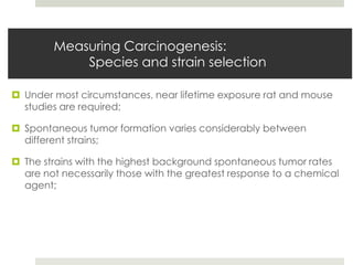 Measuring Carcinogenesis:
            Species and strain selection

 Under most circumstances, near lifetime exposure rat and mouse
  studies are required;

 Spontaneous tumor formation varies considerably between
  different strains;

 The strains with the highest background spontaneous tumor rates
  are not necessarily those with the greatest response to a chemical
  agent;
 