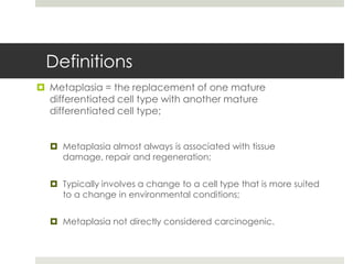 Definitions
 Metaplasia = the replacement of one mature
  differentiated cell type with another mature
  differentiated cell type;


   Metaplasia almost always is associated with tissue
    damage, repair and regeneration;


   Typically involves a change to a cell type that is more suited
    to a change in environmental conditions;


   Metaplasia not directly considered carcinogenic.
 