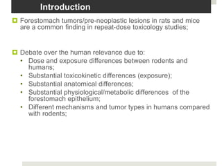 Introduction
 Forestomach tumors/pre-neoplastic lesions in rats and mice
  are a common finding in repeat-dose toxicology studies;


 Debate over the human relevance due to:
  • Dose and exposure differences between rodents and
    humans;
  • Substantial toxicokinetic differences (exposure);
  • Substantial anatomical differences;
  • Substantial physiological/metabolic differences of the
    forestomach epithelium;
  • Different mechanisms and tumor types in humans compared
    with rodents;
 
