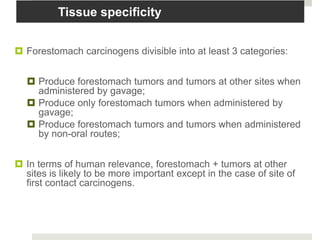 Tissue specificity


 Forestomach carcinogens divisible into at least 3 categories:


   Produce forestomach tumors and tumors at other sites when
    administered by gavage;
   Produce only forestomach tumors when administered by
    gavage;
   Produce forestomach tumors and tumors when administered
    by non-oral routes;


 In terms of human relevance, forestomach + tumors at other
  sites is likely to be more important except in the case of site of
  first contact carcinogens.
 