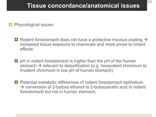 Tissue concordance/anatomical issues


 Physiological issues:


   Rodent forestomach does not have a protective mucous coating 
    increased tissue exposure to chemicals and more prone to irritant
    effects;

   pH in rodent forestomach is higher than the pH of the human
    stomach  relevant to detoxification (e.g. hexavalent chromium to
    trivalent chromium in low pH of human stomach);

   Potential metabolic differences of rodent forestomach epithelium
     conversion of 2-butoxy ethanol to 2-butoxyacetic acid in rodent
    forestomach but not in human stomach;
 