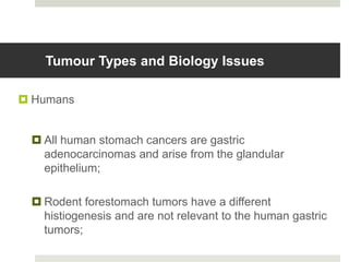 Tumour Types and Biology Issues

 Humans


  All human stomach cancers are gastric
   adenocarcinomas and arise from the glandular
   epithelium;

  Rodent forestomach tumors have a different
   histiogenesis and are not relevant to the human gastric
   tumors;
 