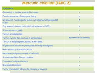 Mercuric chloride (IARC 3)
Parameter
Genotoxicity in vivo that is relevant to humans                                          -
Forestomach cancers following oral dosing                                                +
Not observed in drinking water studies, only observed with gavage/diet                   ?
studies
Only observed at doses that irritate the forestomach (> MTD)                             +
Uncommon tumour types;                                                                   -
Tumours at multiple sites;                                                               -
Tumours by more than one route of administration;                        (thyroid follicular cell adenomas)

Tumours in multiple species, strains, or both sexes;                                     -
Progression of lesions from preneoplastic to benign to malignant;                        -
Reduced latency of neoplastic lesions;                                                   -
Metastases (malignancy, severity of histopath);                                          -
Unusual magnitude of tumour response;                                                    -
Proportion of malignant tumours;                                                         -
Dose-related increases;                                                                  -
Tumour promulgation following the cessation of exposure.                                 -
 