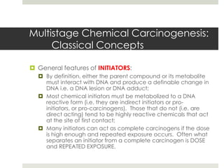 Multistage Chemical Carcinogenesis:
     Classical Concepts

 General features of INITIATORS:
   By definition, either the parent compound or its metabolite
    must interact with DNA and produce a definable change in
    DNA i.e. a DNA lesion or DNA adduct;
   Most chemical initiators must be metabolized to a DNA
    reactive form (i.e. they are indirect initiators or pro-
    initiators, or pro-carcinogens). Those that do not (i.e. are
    direct acting) tend to be highly reactive chemicals that act
    at the site of first contact;
   Many initiators can act as complete carcinogens if the dose
    is high enough and repeated exposure occurs. Often what
    separates an initiator from a complete carcinogen is DOSE
    and REPEATED EXPOSURE.
 