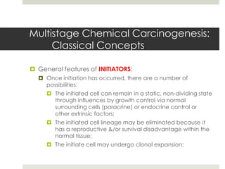 Multistage Chemical Carcinogenesis:
     Classical Concepts

 General features of INITIATORS:
   Once initiation has occurred, there are a number of
    possibilities:
      The initiated cell can remain in a static, non-dividing state
       through influences by growth control via normal
       surrounding cells (paracrine) or endocrine control or
       other extrinsic factors;
      The initiated cell lineage may be eliminated because it
       has a reproductive &/or survival disadvantage within the
       normal tissue;
      The initiate cell may undergo clonal expansion;
 