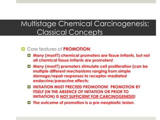 Multistage Chemical Carcinogenesis:
     Classical Concepts

 Core features of PROMOTION:
   Many (most?) chemical promoters are tissue irritants, but not
    all chemical tissue irritants are promoters!
   Many (most?) promoters stimulate cell proliferation (can be
    multiple different mechanisms ranging from simple
    damage/repair responses to receptor-mediated
    endocrine/paracrine effects;
   INITIATION MUST PRECEED PROMOTION! PROMOTION BY
    ITSELF (IN THE ABSENCE OF INITATION OR PRIOR TO
    INITIATION) IS NOT SUFFICIENT FOR CARCINOGENESIS!
   The outcome of promotion is a pre-neoplastic lesion.
 