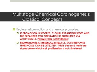 Multistage Chemical Carcinogenesis:
     Classical Concepts

 Features of promotion and chemical promoters:
   IF PROMOTION IS STOPPED, CLONAL EXPANSION STOPS AND
    THE EXPANDED CELL POPULATION IS ELIMINATED VIA
    APOPTOSIS I.E. PROMOTION IS REVERSIBLE;
   PROMOTION IS A THRESHOLD EFFECT I.E. DOSE RESPONSE
    THRESHOLDS CAN BE DETECTED! This is because there are
    doses below which cell proliferation is not stimulated.
 