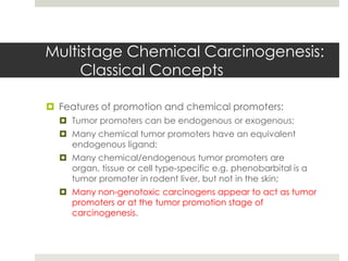 Multistage Chemical Carcinogenesis:
     Classical Concepts

 Features of promotion and chemical promoters:
   Tumor promoters can be endogenous or exogenous;
   Many chemical tumor promoters have an equivalent
    endogenous ligand;
   Many chemical/endogenous tumor promoters are
    organ, tissue or cell type-specific e.g. phenobarbital is a
    tumor promoter in rodent liver, but not in the skin;
   Many non-genotoxic carcinogens appear to act as tumor
    promoters or at the tumor promotion stage of
    carcinogenesis.
 