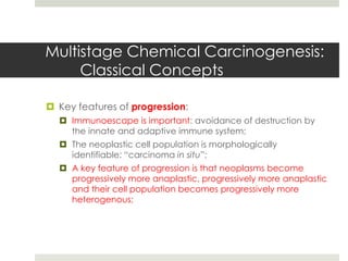 Multistage Chemical Carcinogenesis:
     Classical Concepts

 Key features of progression:
   Immunoescape is important: avoidance of destruction by
    the innate and adaptive immune system;
   The neoplastic cell population is morphologically
    identifiable: “carcinoma in situ”;
   A key feature of progression is that neoplasms become
    progressively more anaplastic, progressively more anaplastic
    and their cell population becomes progressively more
    heterogenous;
 