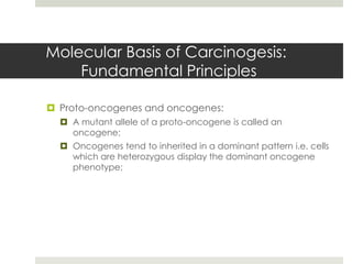 Molecular Basis of Carcinogesis:
    Fundamental Principles

 Proto-oncogenes and oncogenes:
   A mutant allele of a proto-oncogene is called an
    oncogene;
   Oncogenes tend to inherited in a dominant pattern i.e. cells
    which are heterozygous display the dominant oncogene
    phenotype;
 
