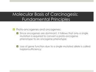 Molecular Basis of Carcinogesis:
    Fundamental Principles

 Proto-oncogenes and oncogenes:
   Since oncogenes are dominant, it follows that only a single
    mutation is required to convert a proto-oncogene
    phenotype to an oncogene phenotype;


   Loss of gene function due to a single mutated allele is called
    haploinsufficiency;
 