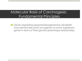 Molecular Basis of Carcinogesis:
    Fundamental Principles

 Genes regulating apoptosis/programmed cell death
  may behave like proto-oncogenes or tumor suppressor
  genes in terms of their genetic:phenotype relationships;
 