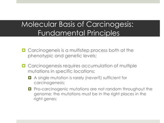 Molecular Basis of Carcinogesis:
    Fundamental Principles

 Carcinogeneis is a multistep process both at the
  phenotypic and genetic levels;

 Carcinogenesis requires accumulation of multiple
  mutations in specific locations;
   A single mutation is rarely (never?) sufficient for
    carcinogenesis;
   Pro-carcinogenic mutations are not random throughout the
    genome: the mutations must be in the right places in the
    right genes;
 