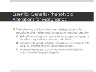 Essential Genetic/Phenotypic
Alterations for Malignancy

 The following are the fundamental requirements for
  neoplasia and malignancy (progression and outgrowth):
   Self-sufficiency in growth signals i.e. no exogenous signals or
    stimuli are required for continued cell division;
   Insensitivity to growth-inhibitory signals e.g. not responsive to
    TGFβ or inhibitors of cyclin-dependent kinases;
   Evasion of apoptosis: e.g. by the inactivation of p53 or
    activation of anti-apoptosis genes;
 