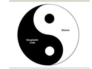 Stroma



Neoplastic
  Cells
 