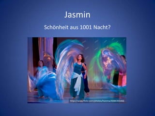 JasminSchönheit aus 1001 Nacht?http://www.flickr.com/photos/honma/4084355466