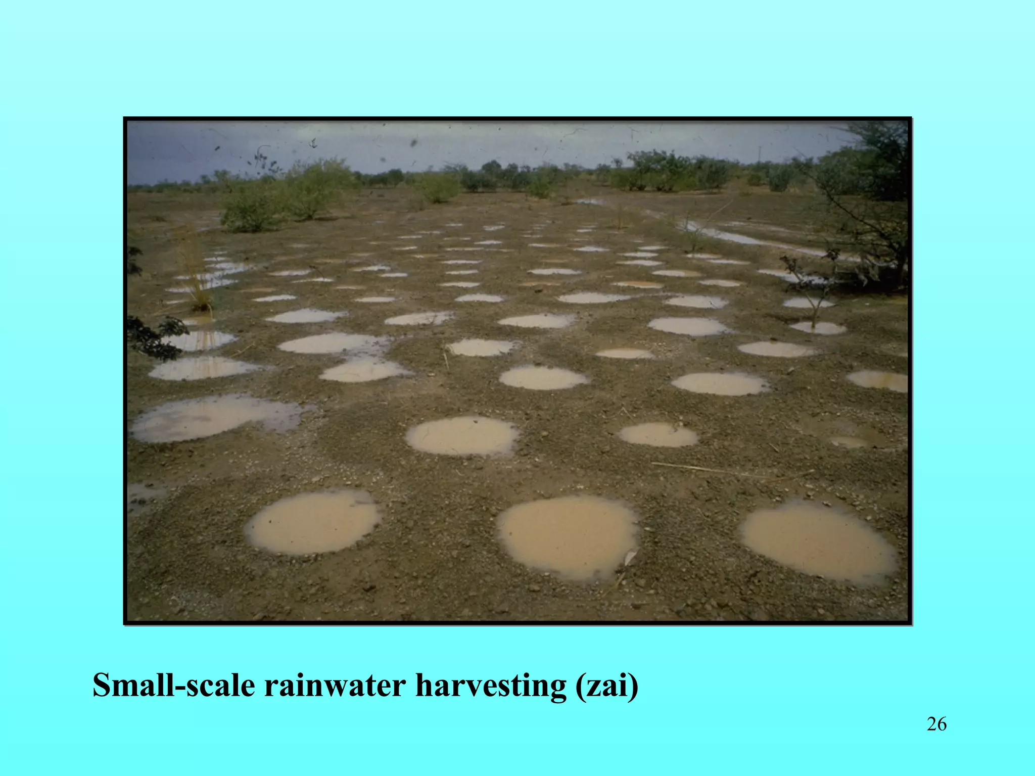 Small-scale rainwater harvesting (zai) 