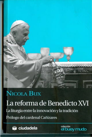 LA REFORMA DE BENEDICTO XVI- NICOLÁS BUX