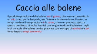 Caccia alle balene
Il prodotto principale delle balene era il grasso, che veniva convertito in
un olio usato per le lampade, ma l'intero animale veniva utilizzato . In
tempi moderni l'uso principale è la carne, che è un prodotto tipico e
spesso prediletto di molte località con lunghe tradizioni baleniere . Agli
inizi la caccia alle balene veniva praticata con lo scopo di nutrirsi ma poi
fu utilizzata a scopi economici.
 