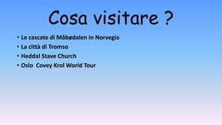 Cosa visitare ?
• Le cascate di Måbødalen in Norvegia
• La città di Tromso
• Heddal Stave Church
• Oslo Covey Krol World Tour
 