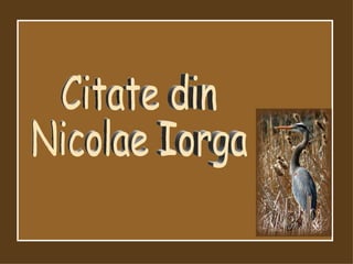 Citate din Nicolae Iorga 