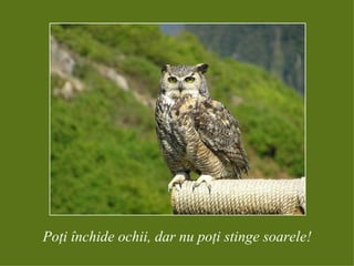 Poţi închide ochii, dar nu poţi stinge soarele! 