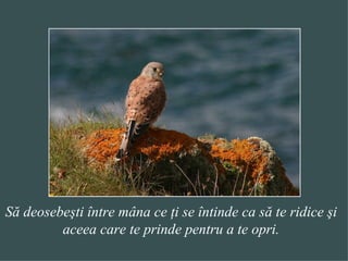 Să deosebeşti între mâna ce ţi se întinde ca să te ridice şi aceea care te prinde pentru a te opri. 