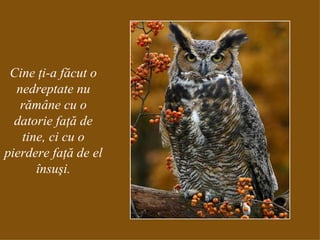 Cine ţi-a făcut o nedreptate nu rămâne cu o datorie faţă de tine, ci cu o pierdere faţă de el însuşi. 