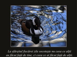 La sfârşitul fiecărei zile socoteşte nu ceea ce alţii au făcut faţă de tine, ci ceea ce ai făcut faţă de alţii. 